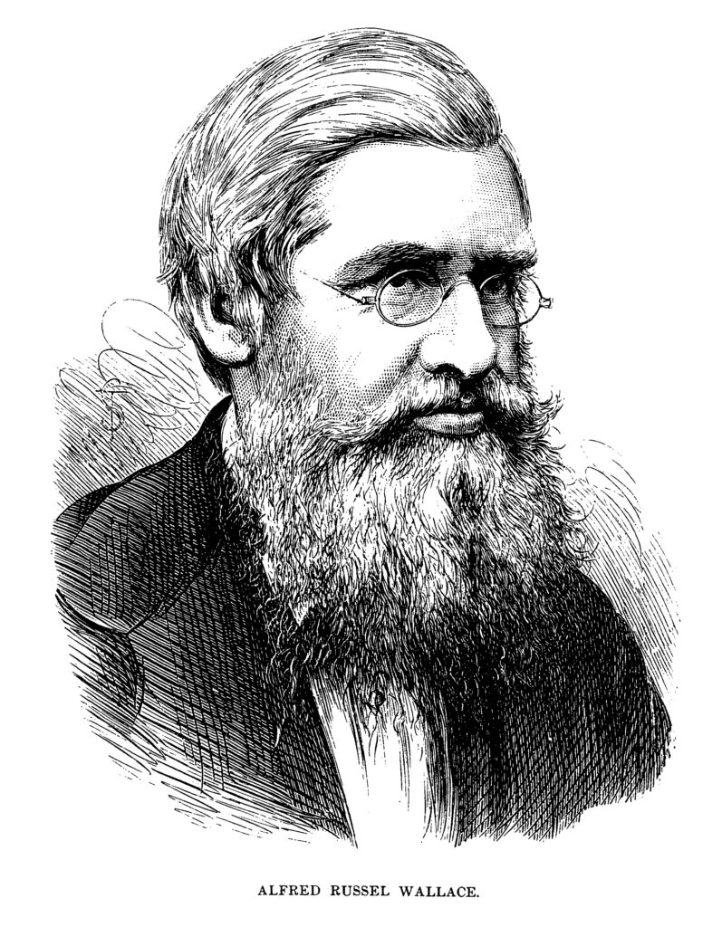 Alfred Russel Wallace